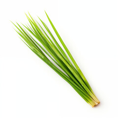 Fototapeta premium Fresh Green Lemongrass Stalks on White Background