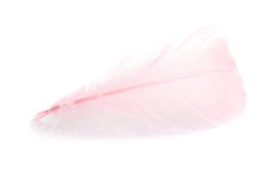 One fluffy light feather isolated on white