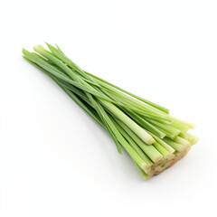 Fresh Lemongrass Stalks on White Background