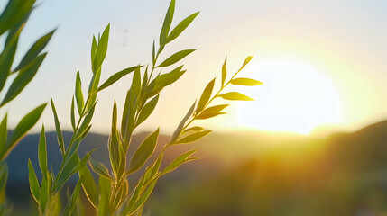 Fototapeta premium Sunset over mountains, green plants in foreground, peaceful nature scene, ideal for calming backgrounds