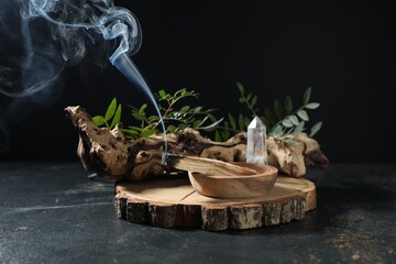 Smoldering palo santo stick, gemstone, snag and green branch on dark table