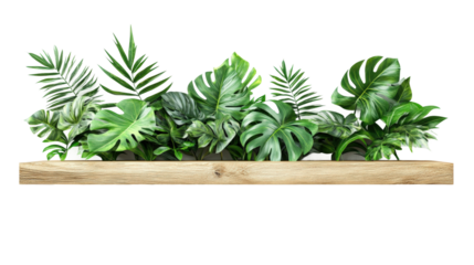 Lush indoor plants arranged on a wooden shelf for vibrant home decor isolated on transparent background