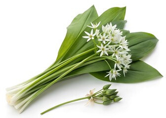 Obraz premium bunch of fresh herbs