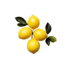 Isolated Four Fresh Lemons with Leaves