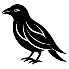 illustration of a bird