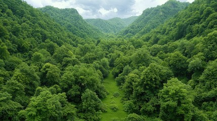 Fototapeta premium Lush green valley, mountain landscape, aerial view, nature scenery, ideal for travel brochures