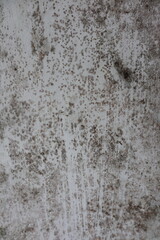 wall background