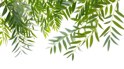 Fototapeta premium Lush Green Leaves Background for Nature Inspired Design and Fresh Organic Aesthetic in Minimalist Style