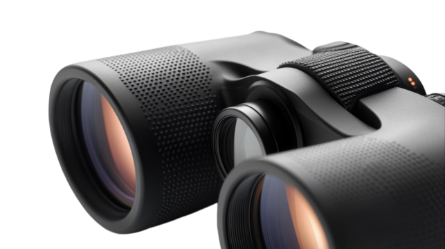 Exploring distant landscapes with high-precision binoculars during a tranquil nature outing
