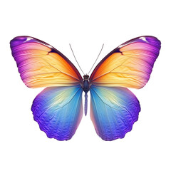 Obraz premium Fluro Color Butterfly Isolated on Transparent Background