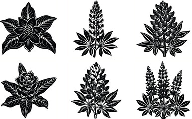 Set of Bluebonnet, Lupine, and Ginger Silhouette Vector Art Designs