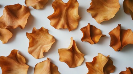 Naklejka premium Stylized decorative bowl shapes in warm tones arranged on a white background for artistic presentation and design inspiration.