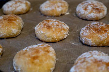 Ready-made homemade cookies on baking paper. Culinary background.