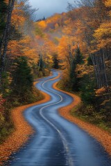 Obraz premium Winding autumn road through colorful forest.