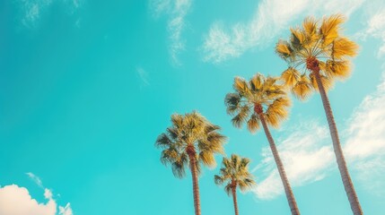 Obraz premium Palm trees against a bright blue sky creating a tropical and serene atmosphere ideal for vacation and relaxation themes.