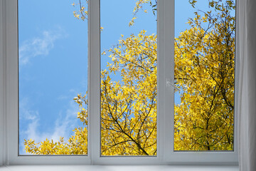 View from the window on yellow garden trees, landscape with  autumn forest.