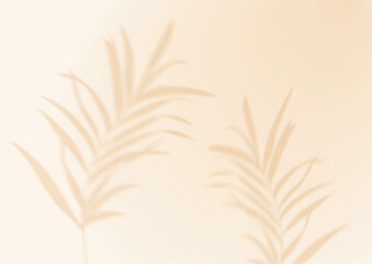 Palm Leaf Overlay Shadows Transparent Vector Summer Background