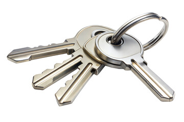 Metallic Keyring with Keys