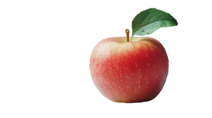 Freshly picked red apple glistening with moisture under soft light on a plain background