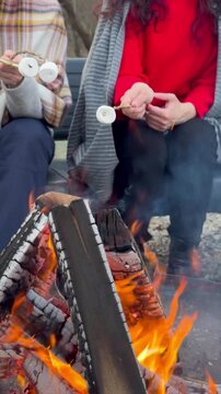 Enjoying a cozy evening roasting marshmallows by the campfire in a rustic setting