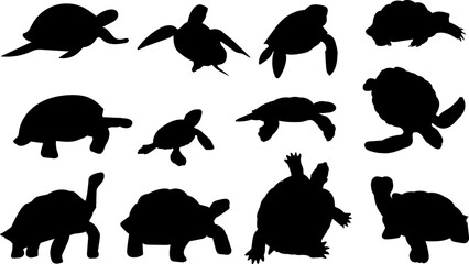 turtle silhouette in different poses collection, vector