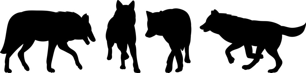 silhouette of wolves running on white background, vector