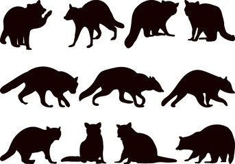 silhouette raccoons in different poses collection, vector