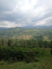 Fototapeta premium Majestic Landscapes of Sri Lanka. Breathtaking Beauty Capturing the Serene Essence of Nature in Stunning Landscapes. A Journey Through Picturesque Nature Landscapes. The beauty of Nature’s Landscape
