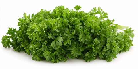 Obraz premium Close-up of a bunch of fresh green parsley, isolated on white background.
