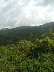 Fototapeta premium Majestic Landscapes of Sri Lanka. Breathtaking Beauty Capturing the Serene Essence of Nature in Stunning Landscapes. A Journey Through Picturesque Nature Landscapes. The beauty of Nature’s Landscape