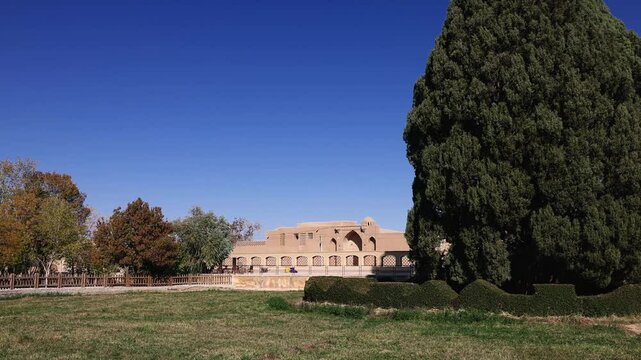 Zoroastrian cypress Sarv (4500 years old) in the province of Yazd. Iran. The second oldest tree in the world. The Sarve-e-Abarkouh cypress, also known as the Zoroastrian tree, the oldest tree in Iran