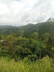 Majestic Landscapes of Sri Lanka. Breathtaking Beauty Capturing the Serene Essence of Nature in Stunning Landscapes. A Journey Through Picturesque Nature Landscapes. The beauty of Nature’s Landscape