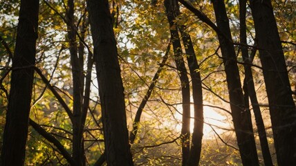Naklejka premium sun in the forest generative ai