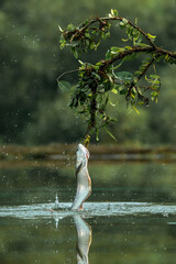 Fototapety na wymiar - Fototapeta24.pl