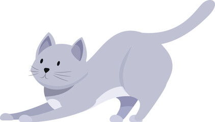 Adorable gray cat stretching its body, getting ready for playful activity