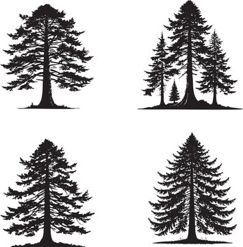"High-Quality Monochrome Vector Silhouettes of the Western Hemlock Tree Isolated on a White Background"