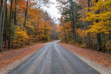 Fototapeta premium A golden autumn road lined with trees, their vibrant leaves creating a canopy overhead, peaceful and inviting,