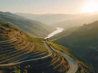 Sunset over terraced vineyards, winding road, Douro Valley, Portugal; travel, tourism