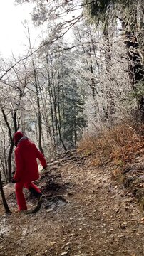 A frosty winter hike to Tomasovsky view, a stunning rock formation offering breathtaking vistas in Slovensky Raj National Park, Slovakia