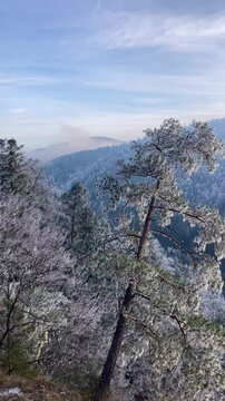 A frosty winter hike to Tomasovsky view, a stunning rock formation offering breathtaking vistas in Slovensky Raj National Park, Slovakia