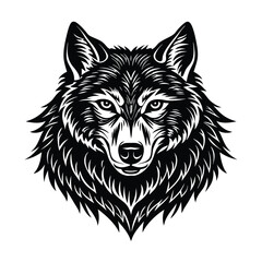 wolf head vector  illustration