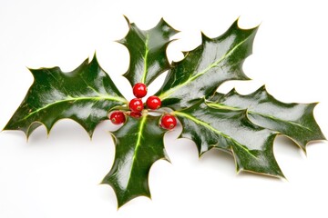 Fototapeta premium Close-up of a holly leaf with bright red berries on a white background, perfect for holiday or nature-themed designs