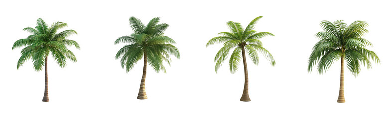 A 3D palm tree with green leaves and brown trunk, minimalist design, on a transparent background.
