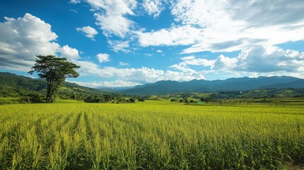 Biomass energy projects revitalizing rural development through clean technology.