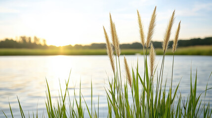 Obraz premium peaceful riverbank at dusk with reeds swaying gently in breeze