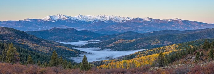 Naklejka premium Aerial View of a Misty Autumn Forest with Yellow and Green Trees Against Snow-Capped Mountains. Serene Coniferous Landscape Shrouded in Fog, Reflecting Tranquility and Seasonal Beauty.