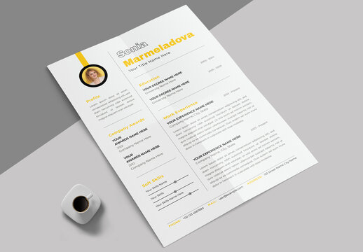Clean Resume Template Layout