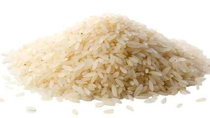 Single rice grain isolated on white background