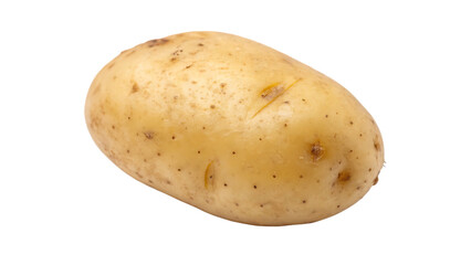 Small potato isolated on white background
