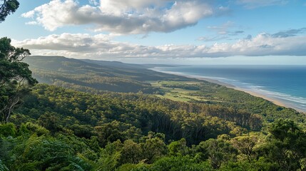 Naklejka premium Coastal forest, ocean view, sunrise, hilly landscape, nature photography, travel